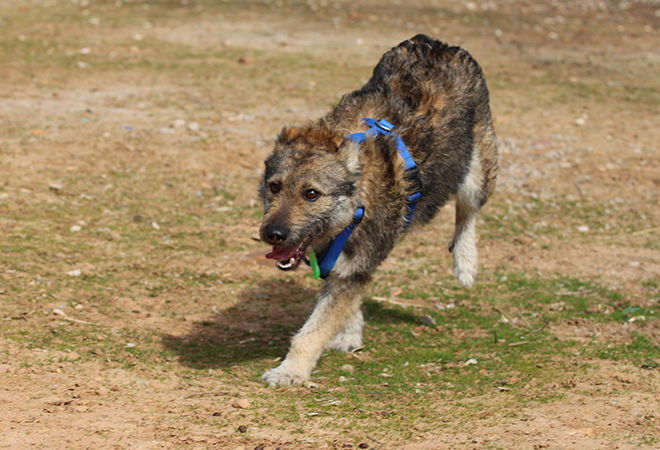 multimedia-foto46218-224-3