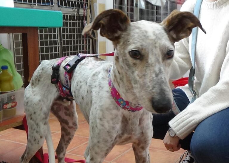 multimedia-foto46219-860-3