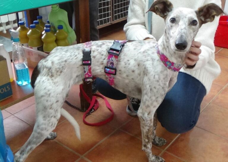 multimedia-foto46220-861-3