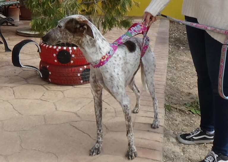 multimedia-foto46221-862-3