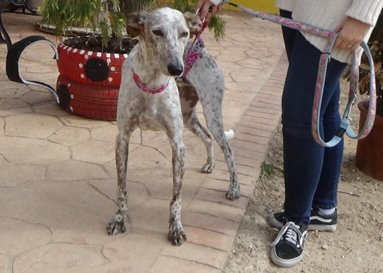 multimedia-foto46222-862-3