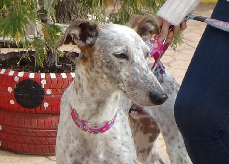 multimedia-foto46224-864-3