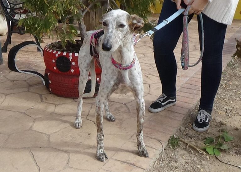 multimedia-foto46225-865-3