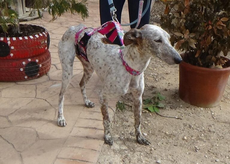 multimedia-foto46226-902-3