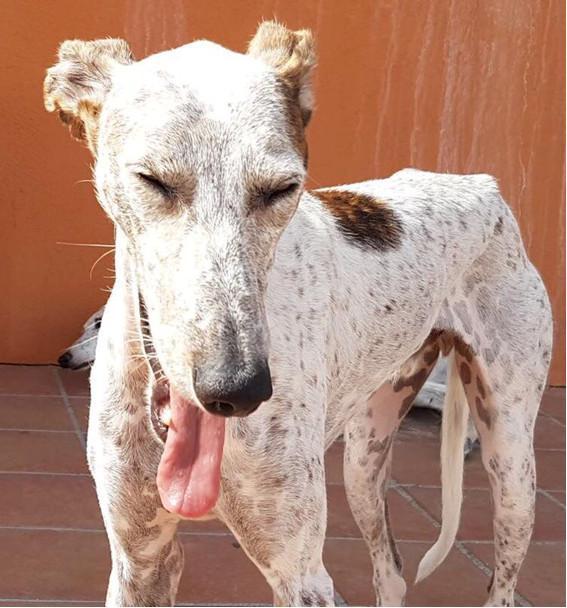 multimedia-foto46227-903-3