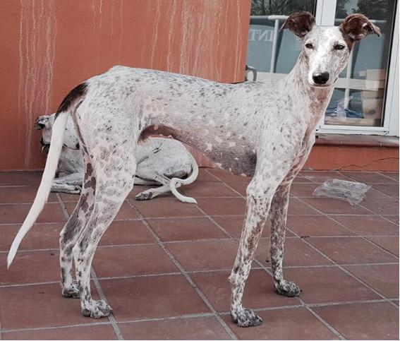 multimedia-foto46228-904-3