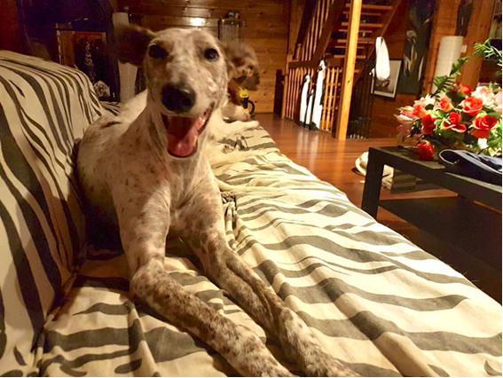 multimedia-foto46229-904-3