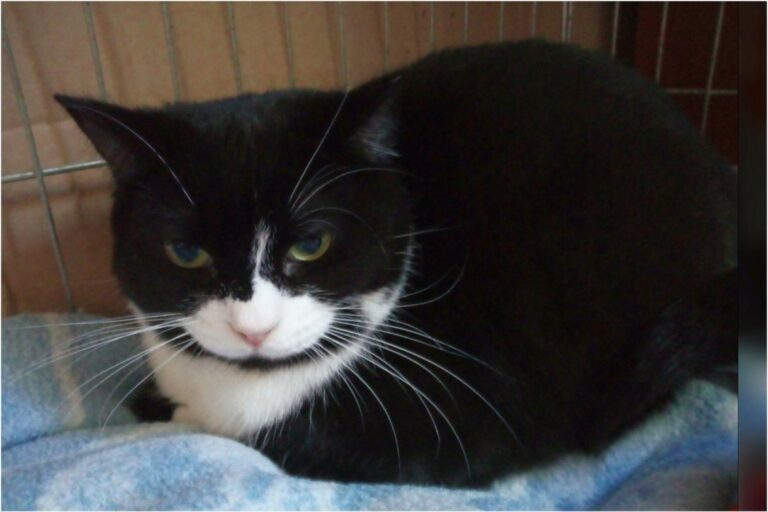 multimedia-foto46230-161-3