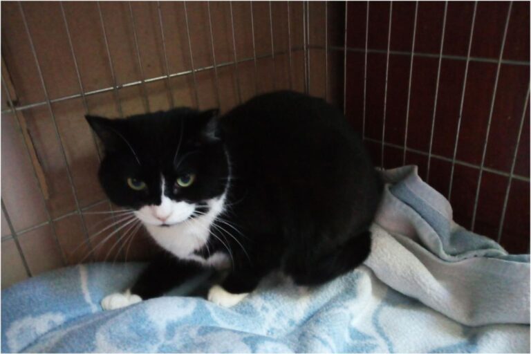 multimedia-foto46234-164-3