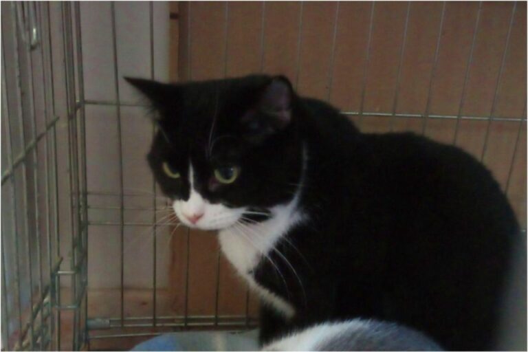 multimedia-foto46235-164-3