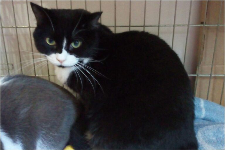 multimedia-foto46236-207-3