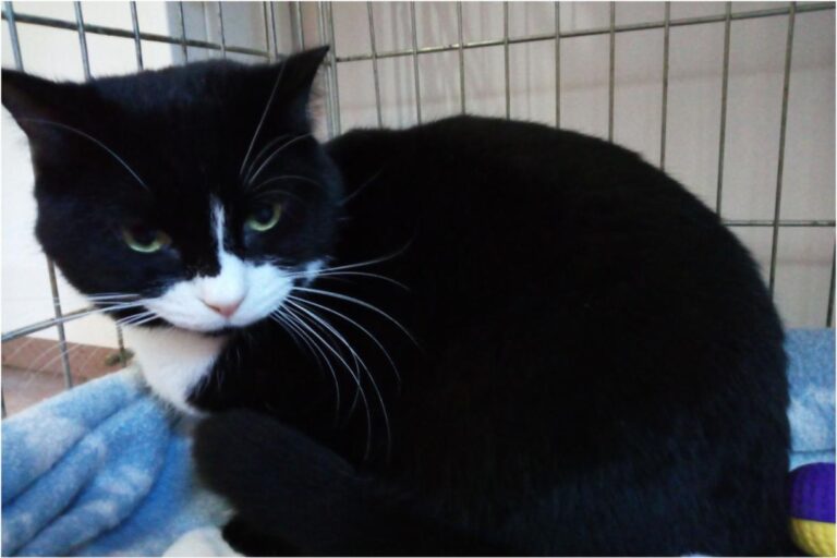 multimedia-foto46237-208-3