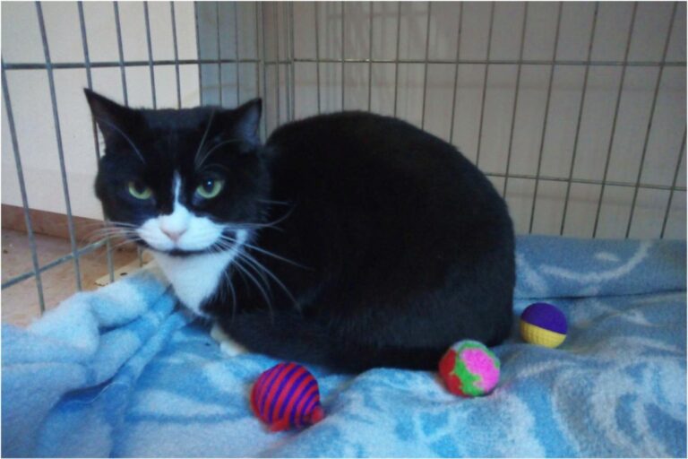 multimedia-foto46238-208-3