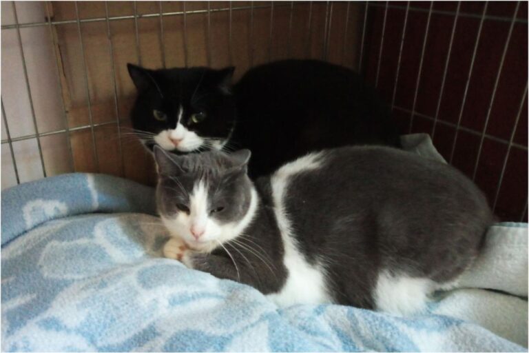 multimedia-foto46241-211-3