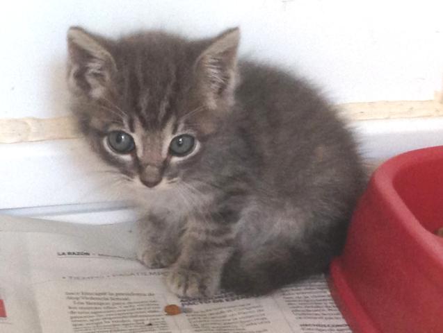 multimedia-foto46278-299-3