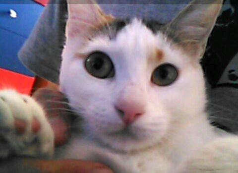 multimedia-foto46282-483-3