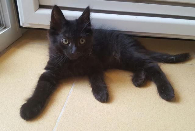 multimedia-foto46291-55-3