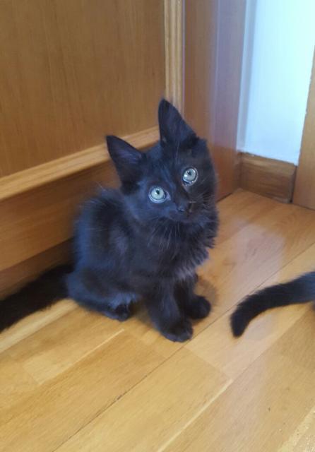 multimedia-foto46292-55-3