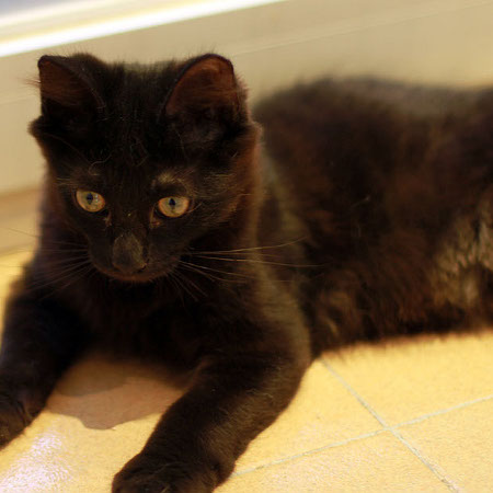 multimedia-foto46293-56-3