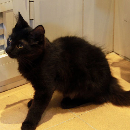 multimedia-foto46294-56-3