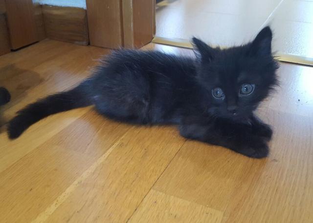 multimedia-foto46297-58-3