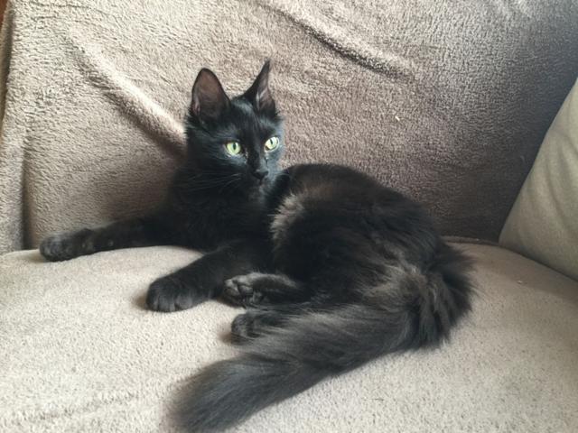 multimedia-foto46298-58-3