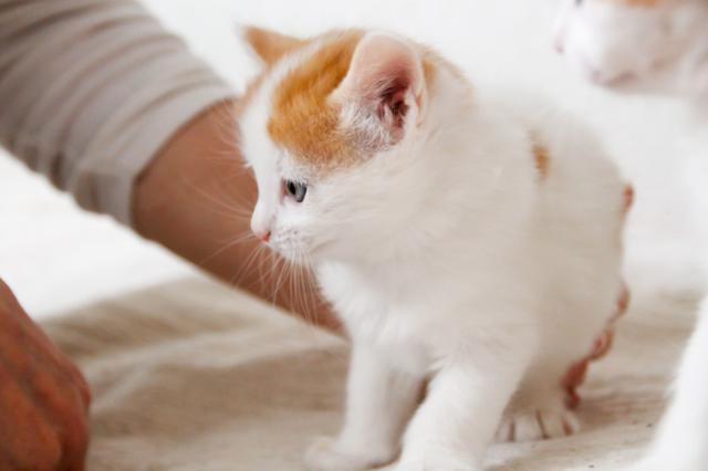 multimedia-foto46304-416-3