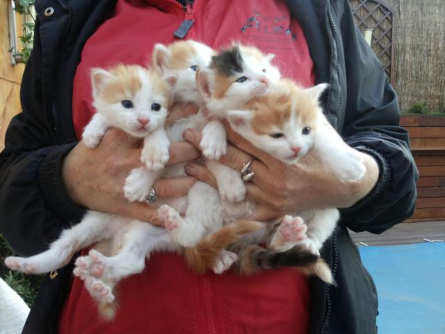 multimedia-foto46308-431-3