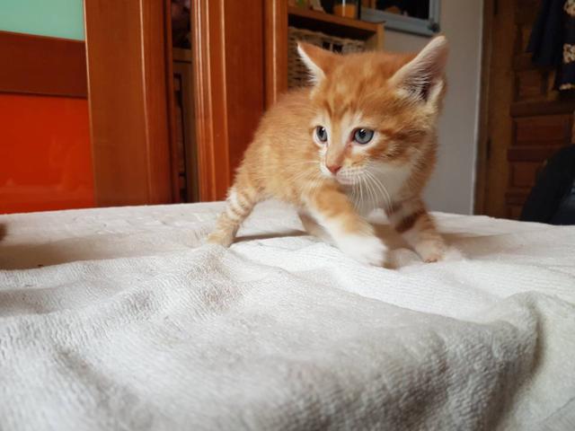 multimedia-foto46323-263-3