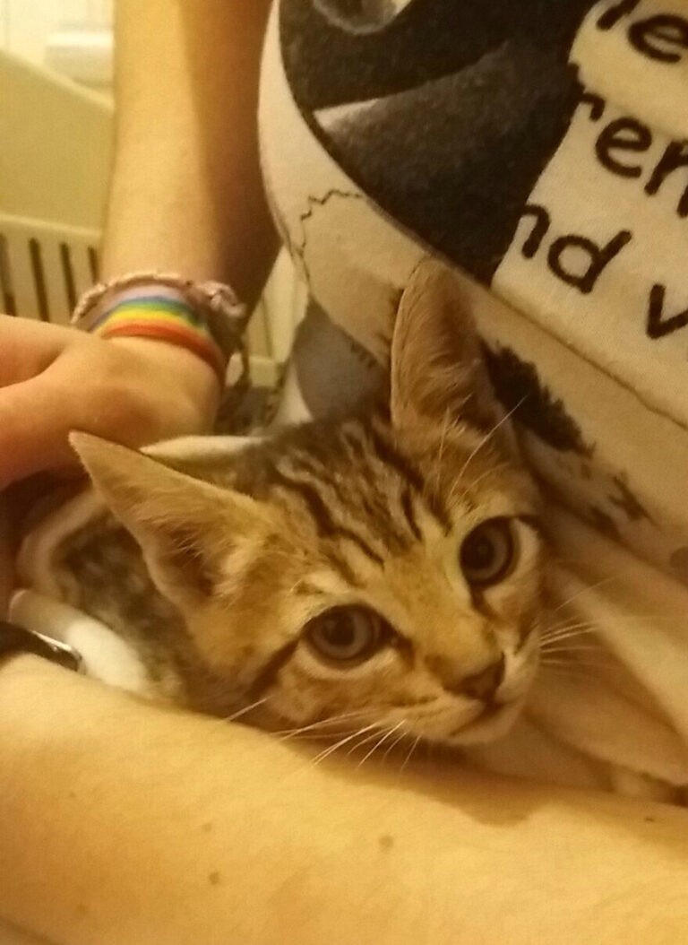 multimedia-foto46335-992-3