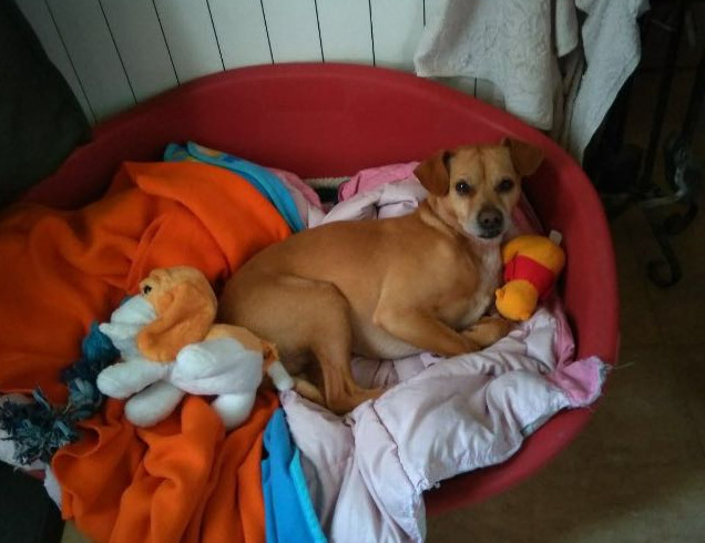 multimedia-foto46344-552-3