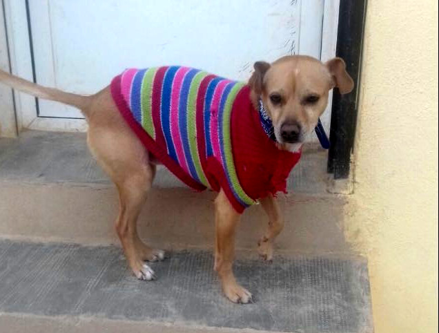 multimedia-foto46345-552-3