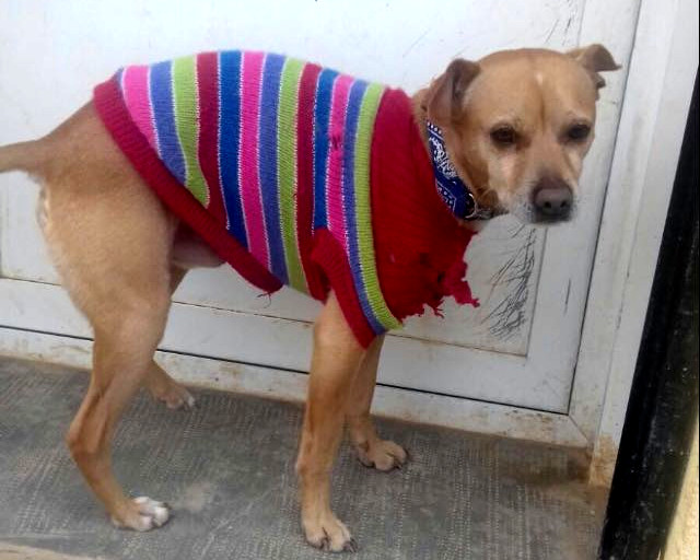 multimedia-foto46346-553-3