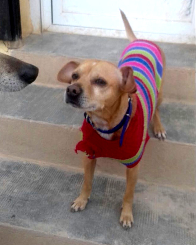 multimedia-foto46347-554-3