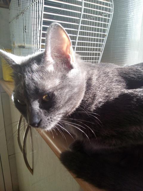 multimedia-foto46351-260-3