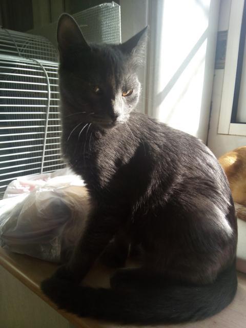 multimedia-foto46352-261-3