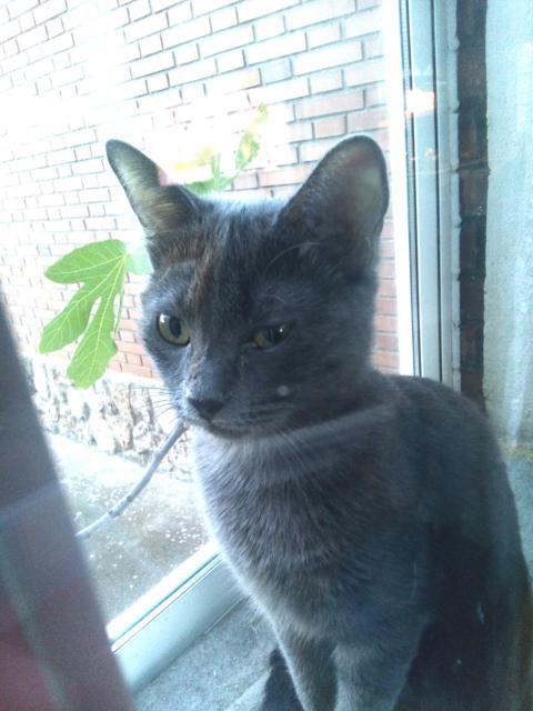 multimedia-foto46353-261-3