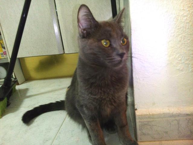 multimedia-foto46354-262-3