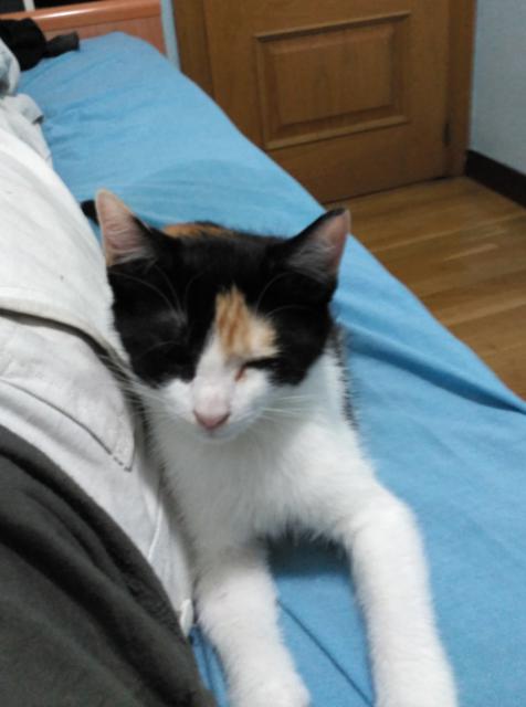 multimedia-foto46359-781-3