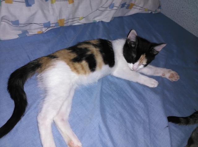 multimedia-foto46360-781-3