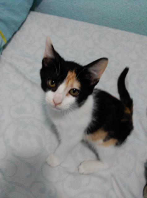 multimedia-foto46362-783-3