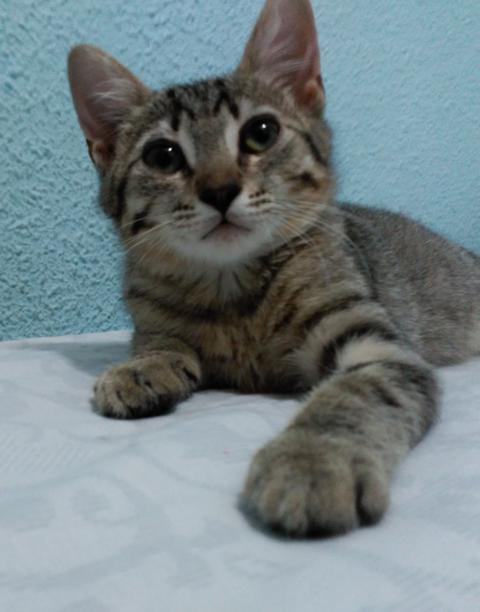 multimedia-foto46364-833-3