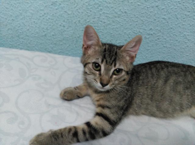 multimedia-foto46365-833-3