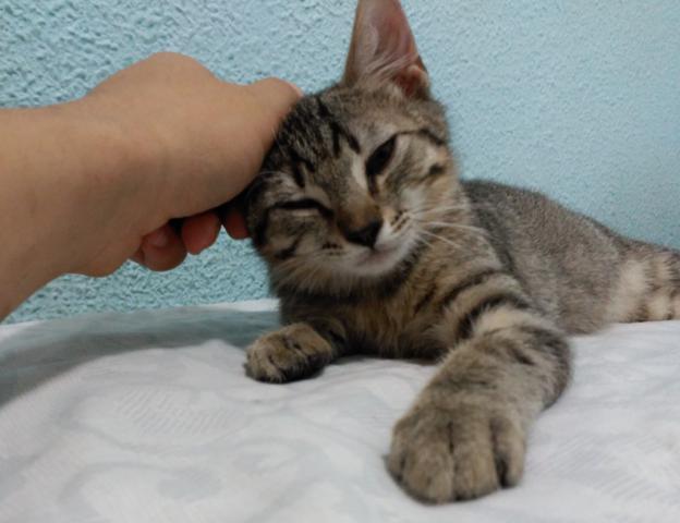 multimedia-foto46366-834-3