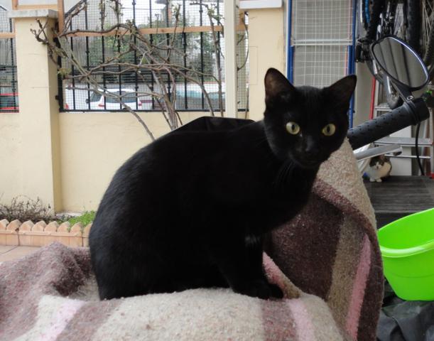 multimedia-foto46372-874-3