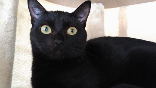 multimedia-foto46374-875-3