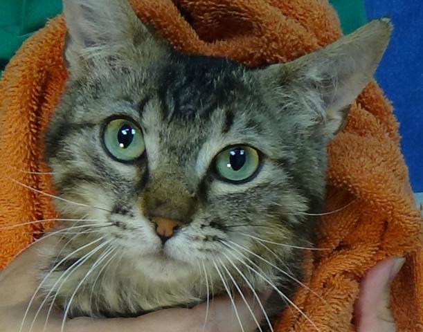 multimedia-foto46403-911-3