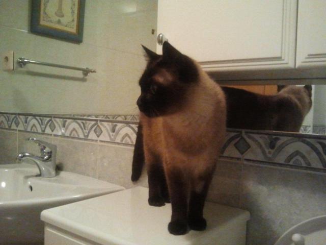 multimedia-foto46411-451-3