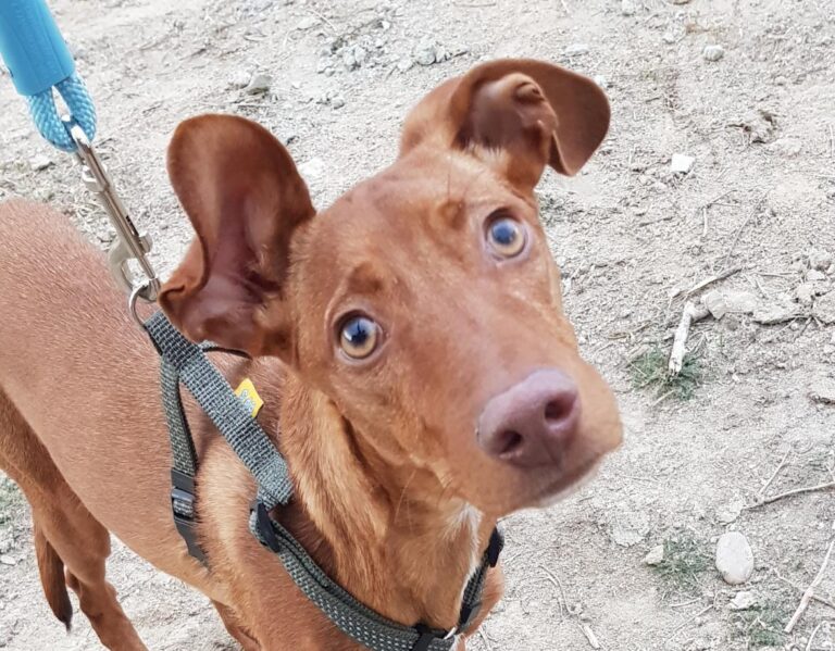 multimedia-foto46443-999-3