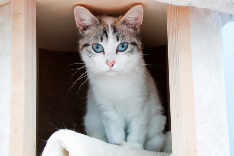 multimedia-foto46459-205-3